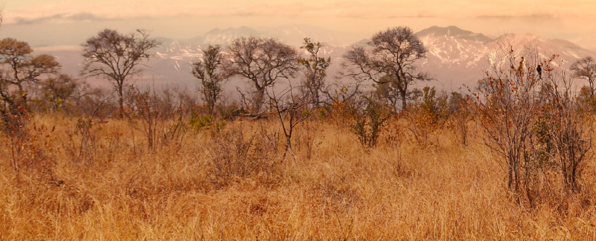 Fondo del webinar para agentes de viajes sobre turismo