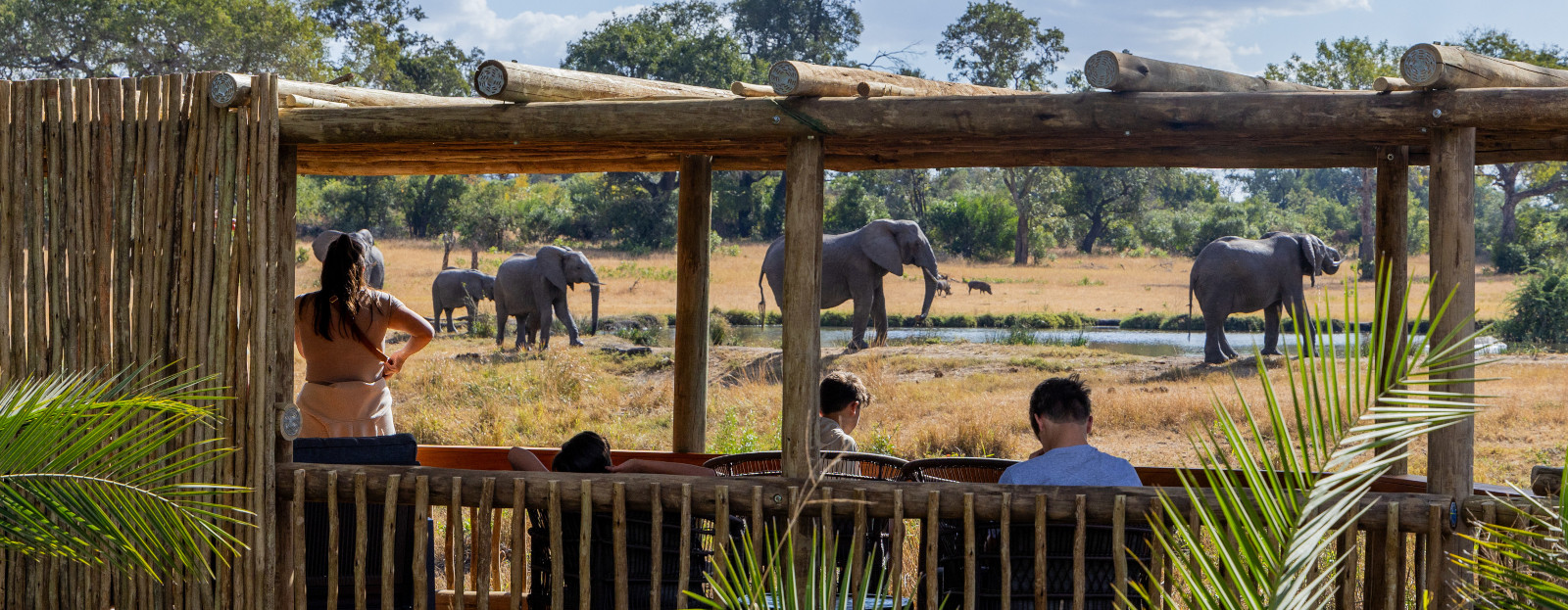 Fondo del webinar para agentes de viajes sobre turismo