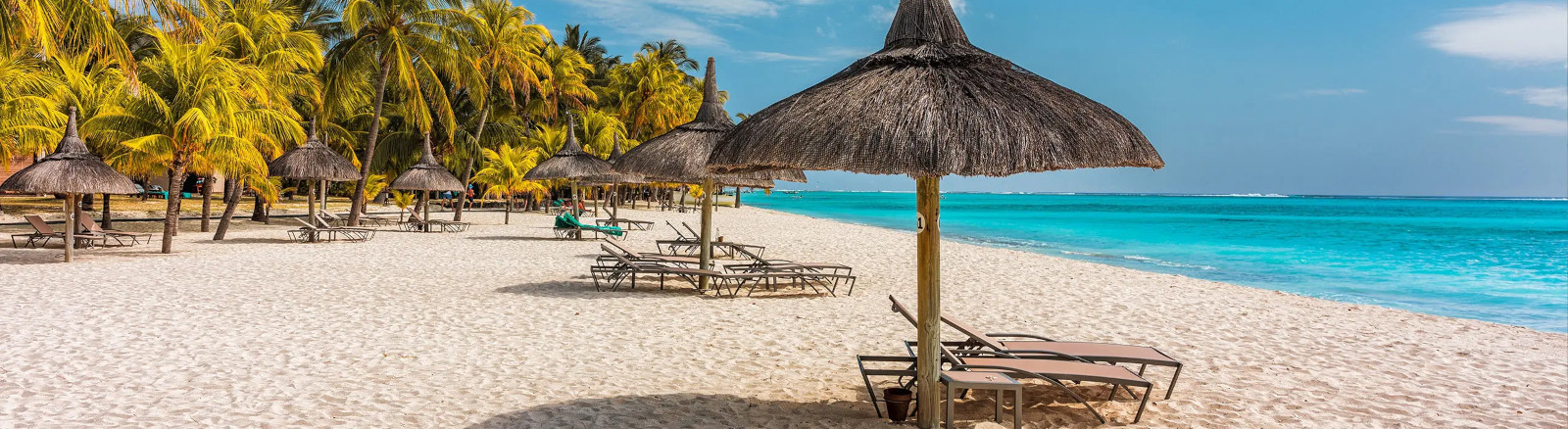 Fondo del webinar para agentes de viajes sobre turismo