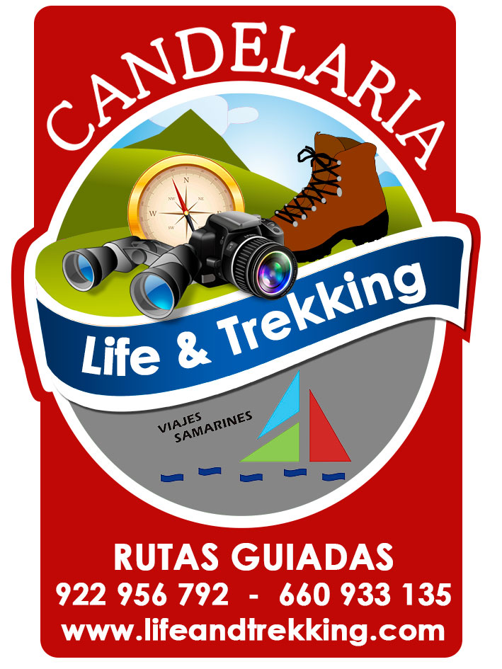 agencia