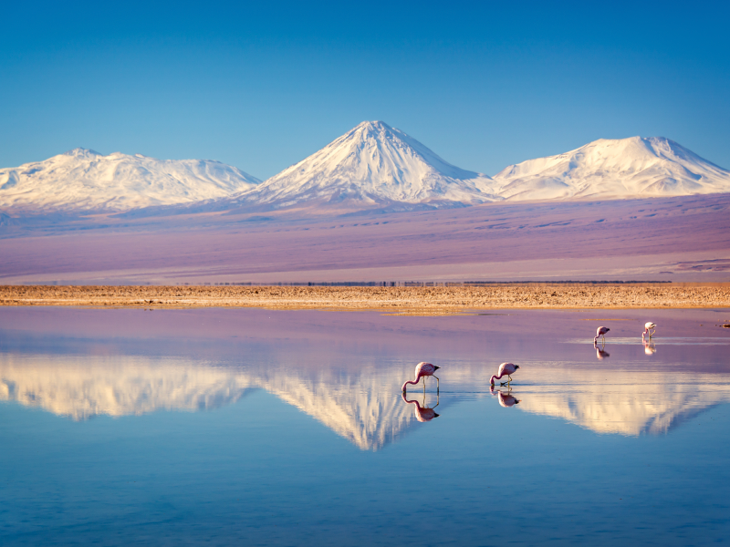 Chile con TUI: un país, muchas formas de recorrerlo