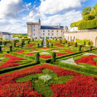 El Valle del Loira, cuna de Castillos en el “Jardín de Francia”