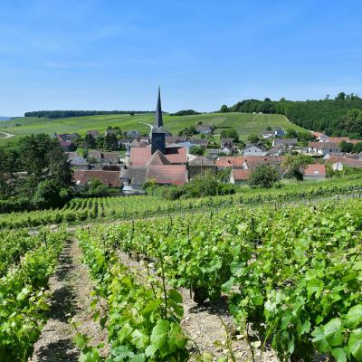 Descubre La Champagne (Francia) y todas las sorpresas que puede ofrecer