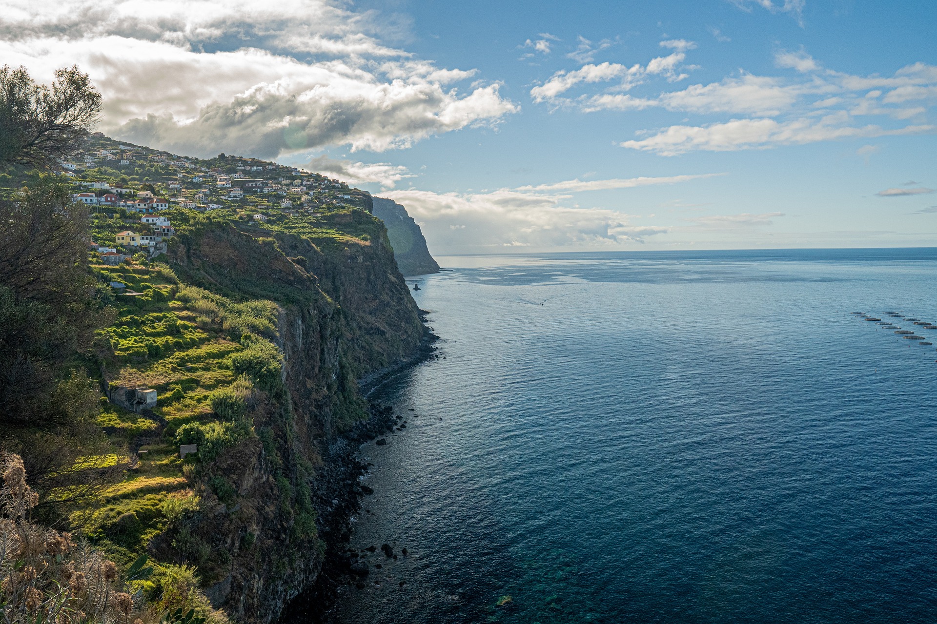 Madeira con Abreu